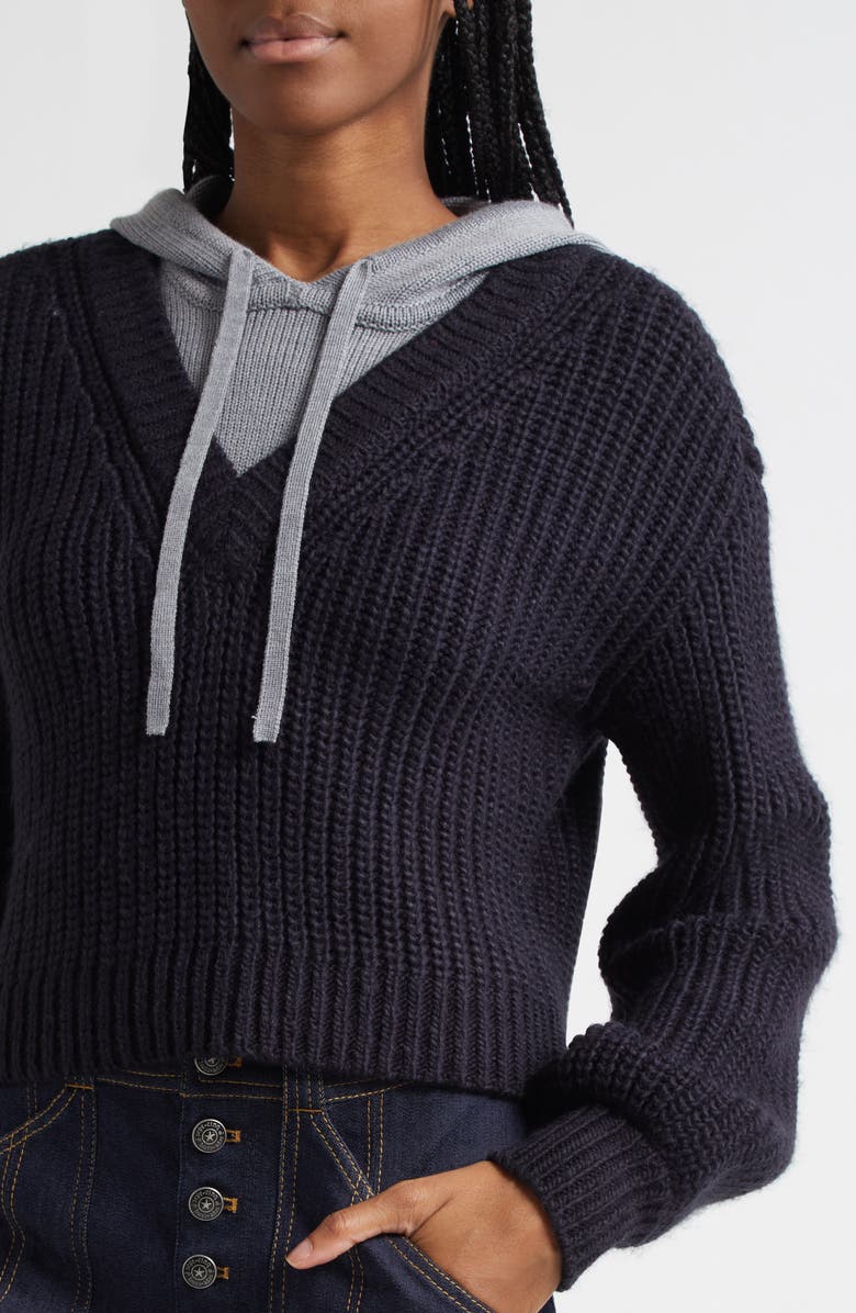 Cinq à Sept Deidre Hoodie, Alternate, color,