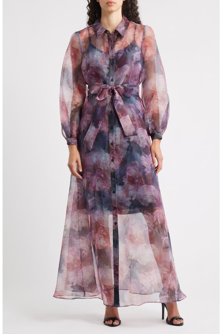 Floral Organza Button-Up Gown, Main, color, PINK MULTI