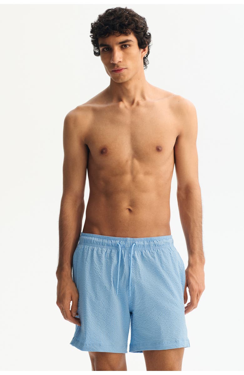 H&M Seersucker Swim Shorts, Alternate, color, Light Blue/Striped