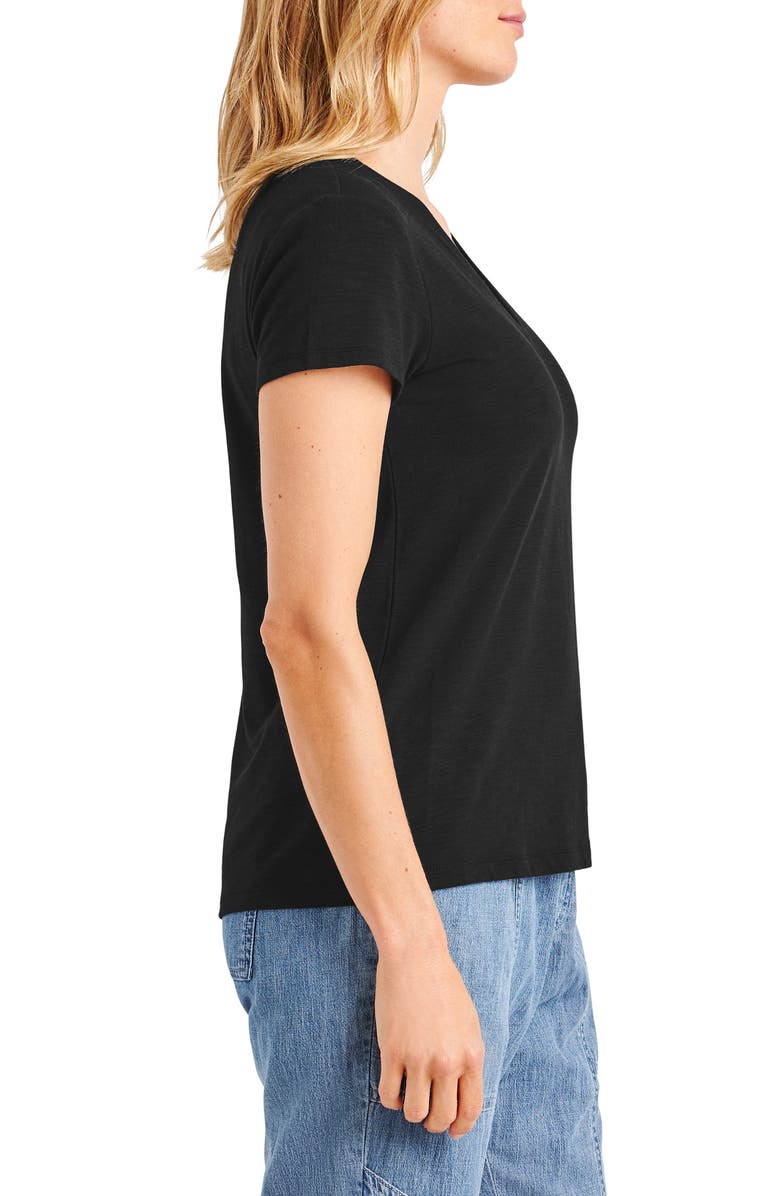 Splendid Kate Slub V-Neck T-Shirt, Alternate, color,