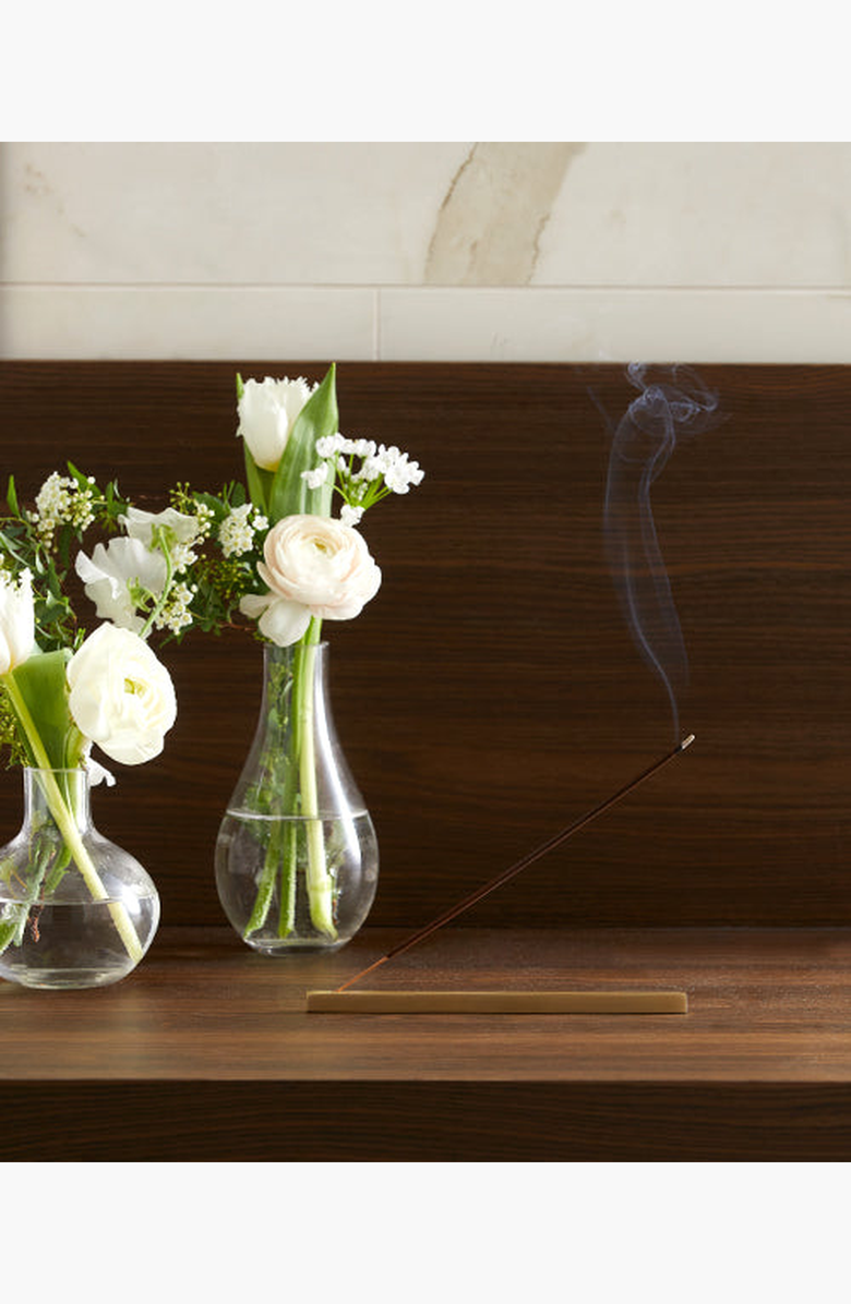 Agraria San Francisco Perfumed Incense Sticks, Alternate, color, Bitter Orange