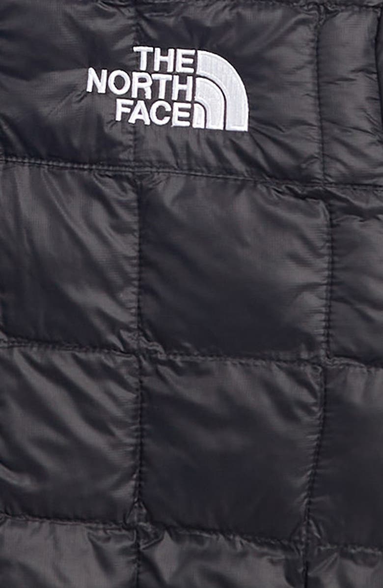 The North Face Kids' ThermoBall<sup>™</sup> Hooded Jacket, Alternate, color,