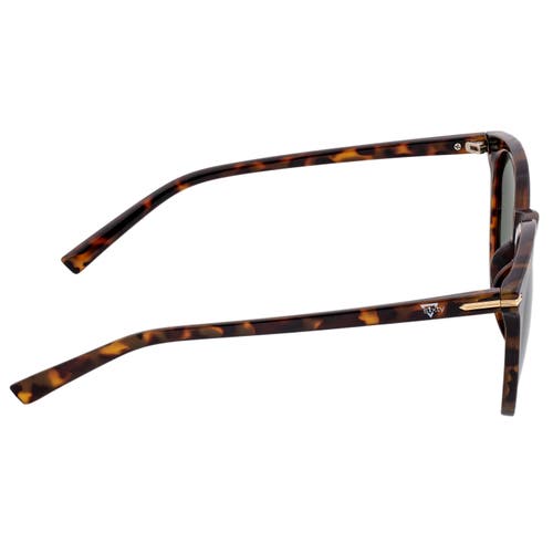 Sixty One Palawan Polarized Sunglasses In Tortoise/black
