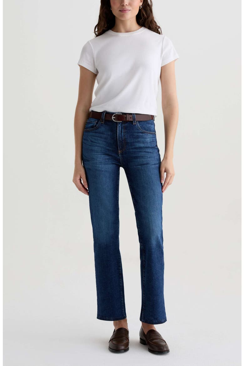 Brinley Classic Straight Leg Jeans, Alternate, color, PLENTIFUL