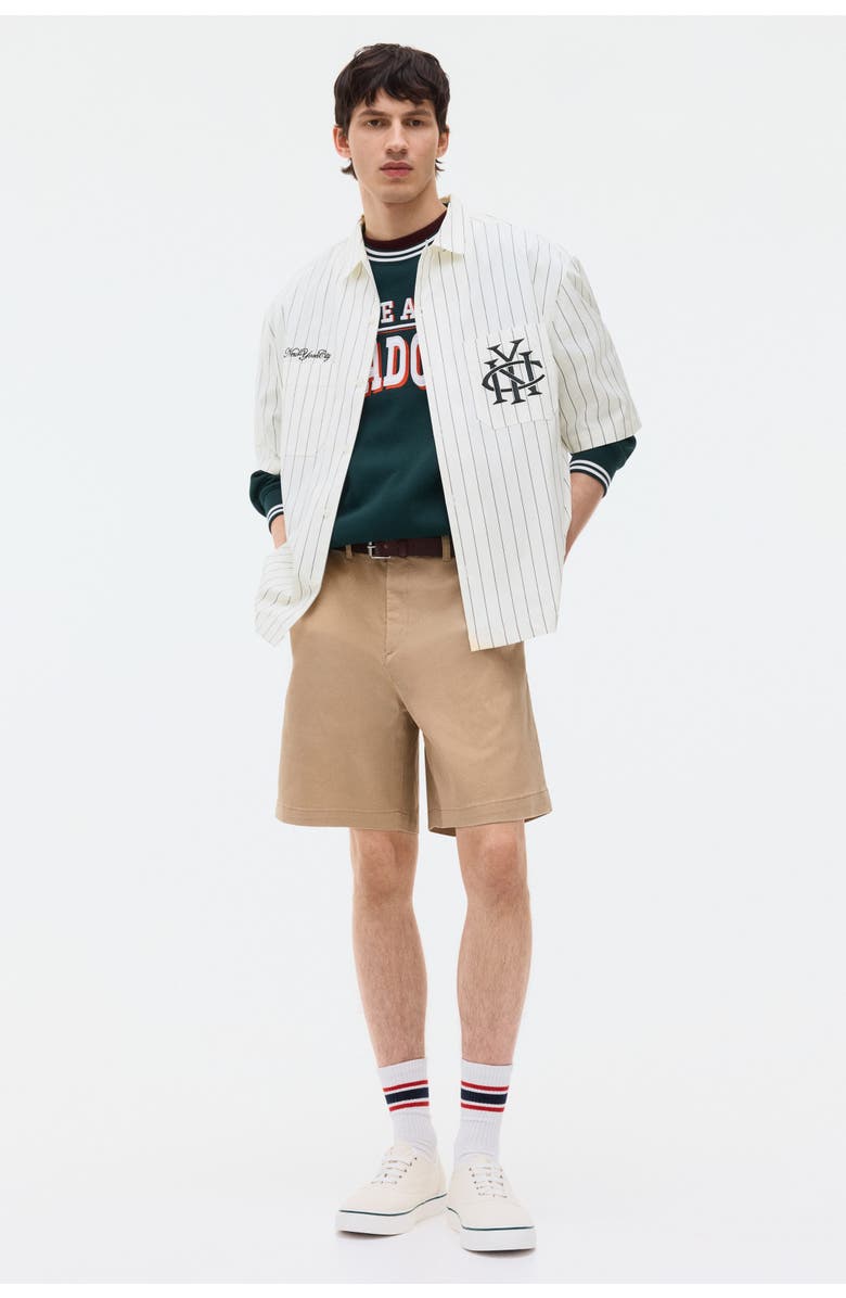 H&M Regular Fit Embroidered-motif Shirt, Alternate, color, White/Striped