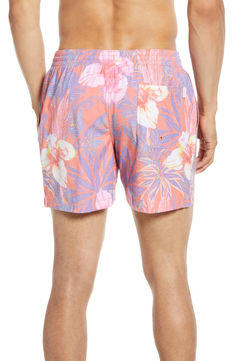 Chubbies The Nectars Swim Trunks, Alternate, color, 