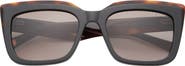 Ted Baker London 55mm Polarized Cat Eye Sunglasses
