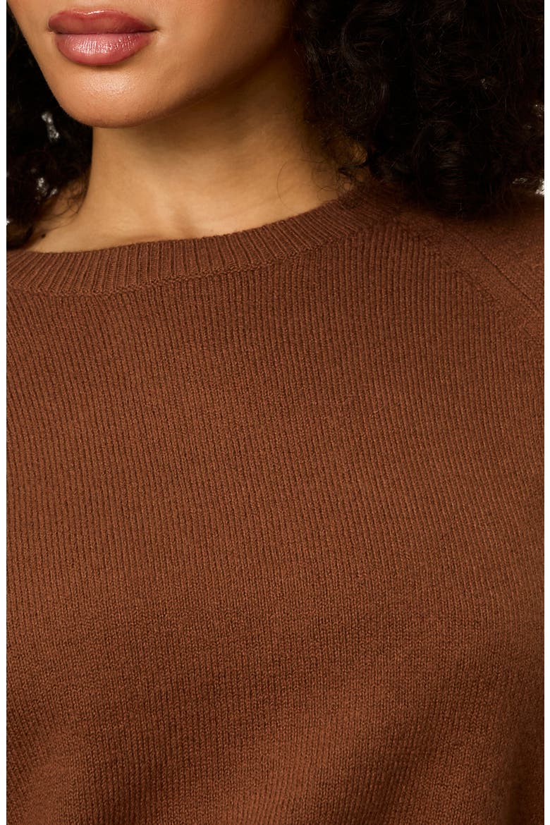 Raglan Sleeve Sweater, Alternate, color, COCOA POWDER BROWN