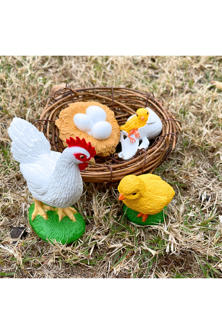 Life Cycle Of A Chicken, Alternate, color, No Color