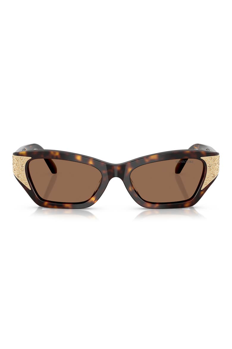 50mm Cat Eye Sunglasses, Main, color, DARK HAVANA