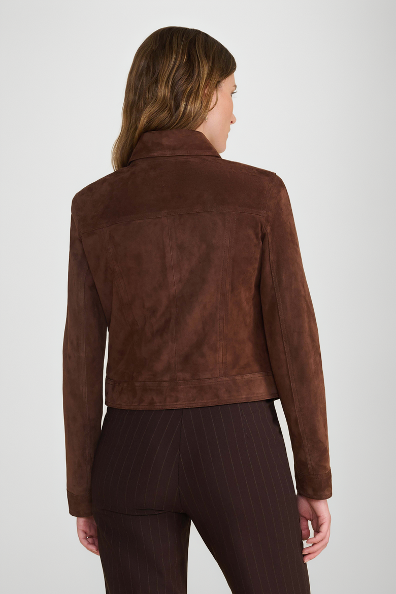 Isabella Suede Jacket, Alternate, color, Chestnut