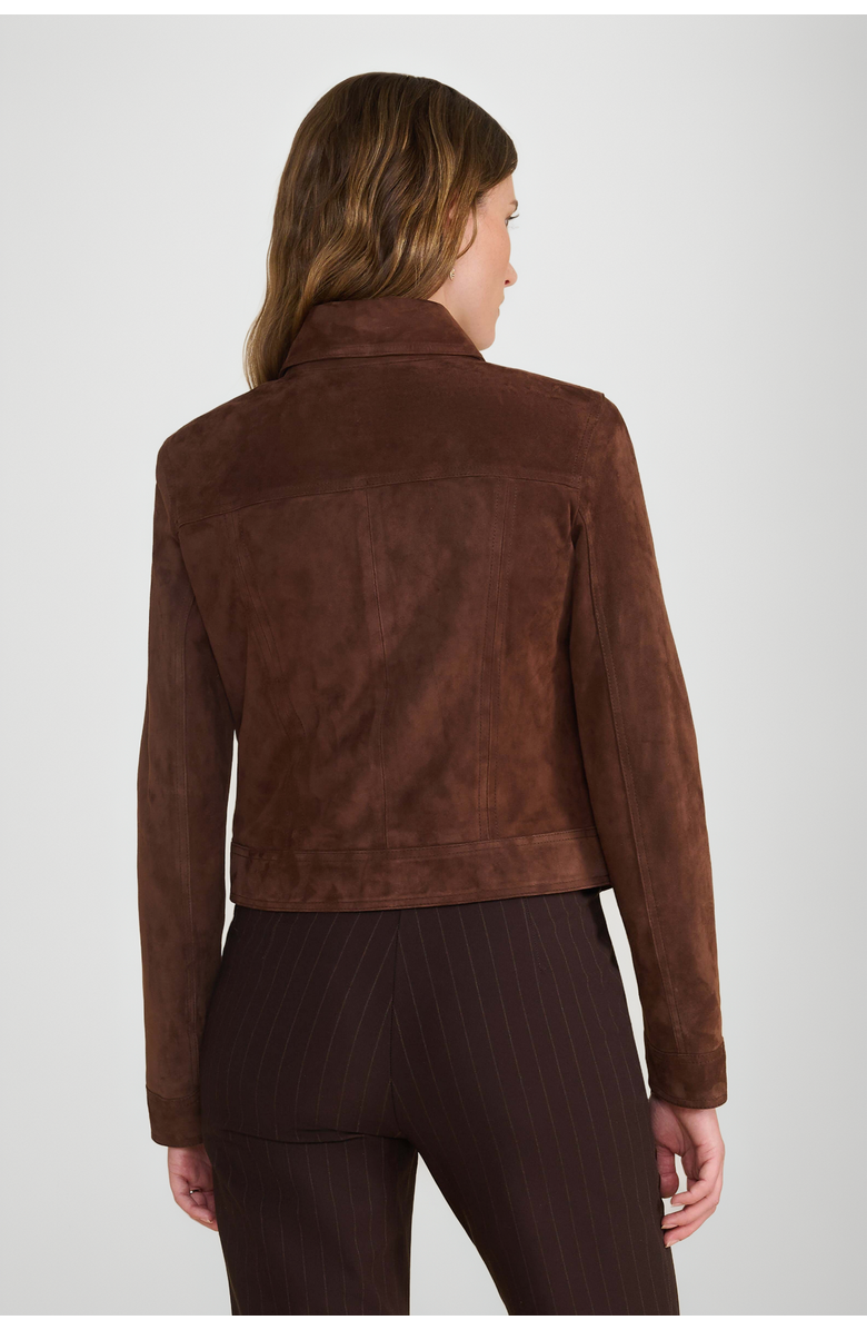 Furniq UK Isabella Suede Jacket, Alternate, color, Brown