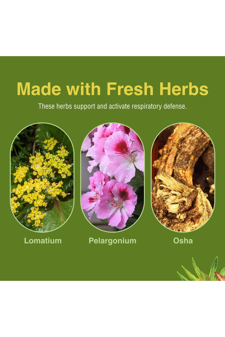 Loviral - Lung Health Supplement for Respiratory Defense & Support - Herbal Supplement with Lomatium, Pelargonium & OSHA - Gluten-Free - 60 Softgels, Alternate, color, No Color