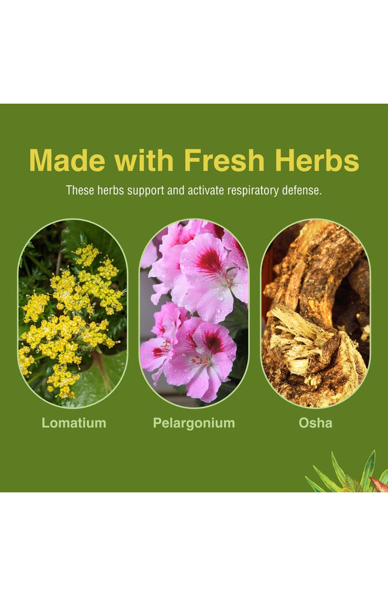 Trace Minerals Loviral - Lung Health Supplement for Respiratory Defense & Support - Herbal Supplement with Lomatium, Pelargonium & OSHA - Gluten-Free - 60 Softgels, Alternate, color, NO COLOR