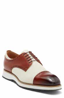 Saba Hybrid Oxford