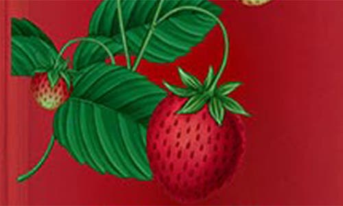 Nest New York Santa Barbara Strawberry Body Mist In Multi