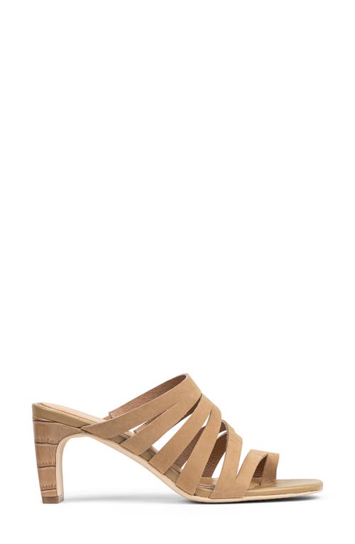 DONALD PLINER DONALD PLINER HAVANNA SANDAL