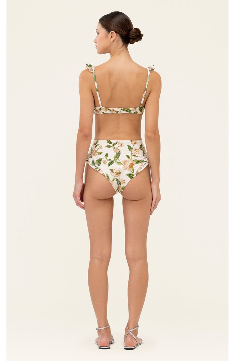 Agua by Agua Bendita Jengibre Orquidea Bikini bottom, Alternate, color, Multi