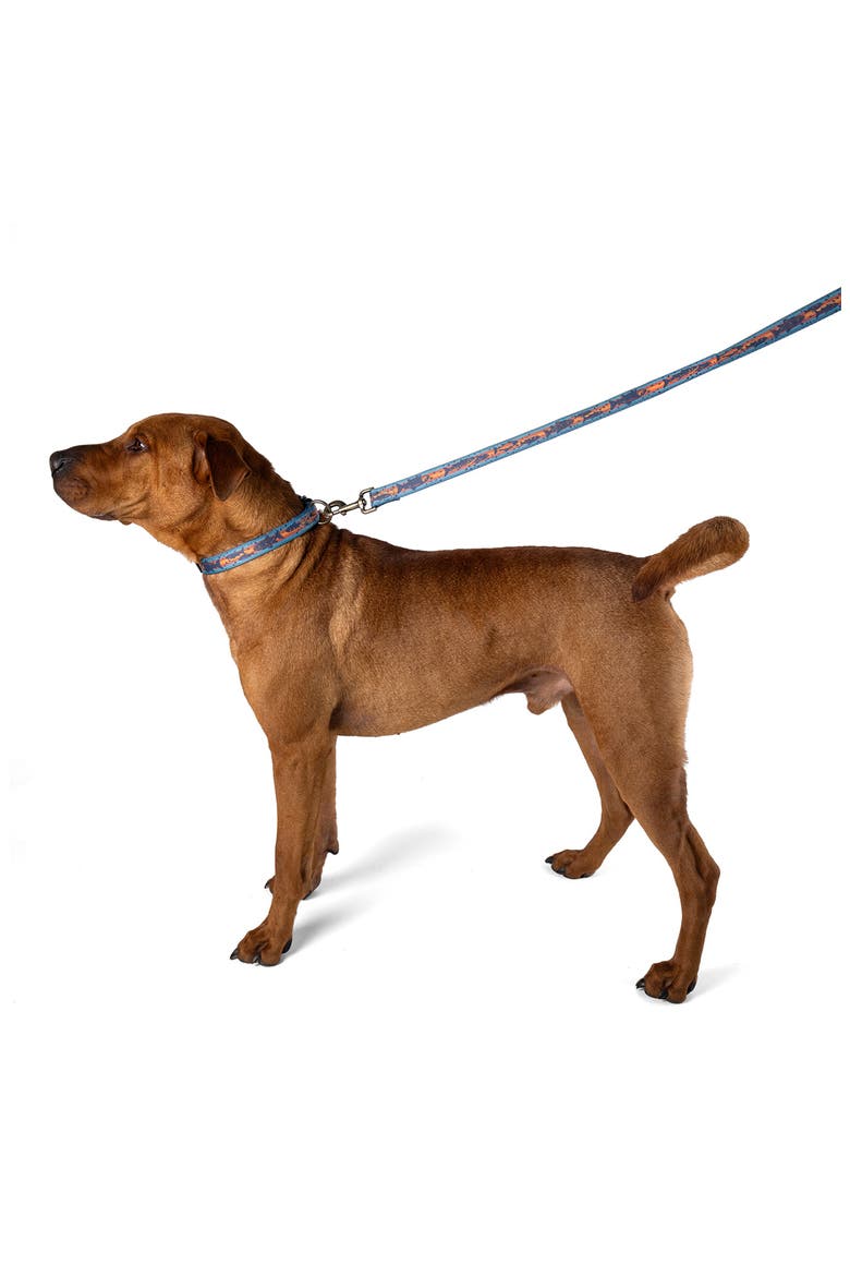 Adventure Dog Leash, Alternate, color, SALMON FALLS