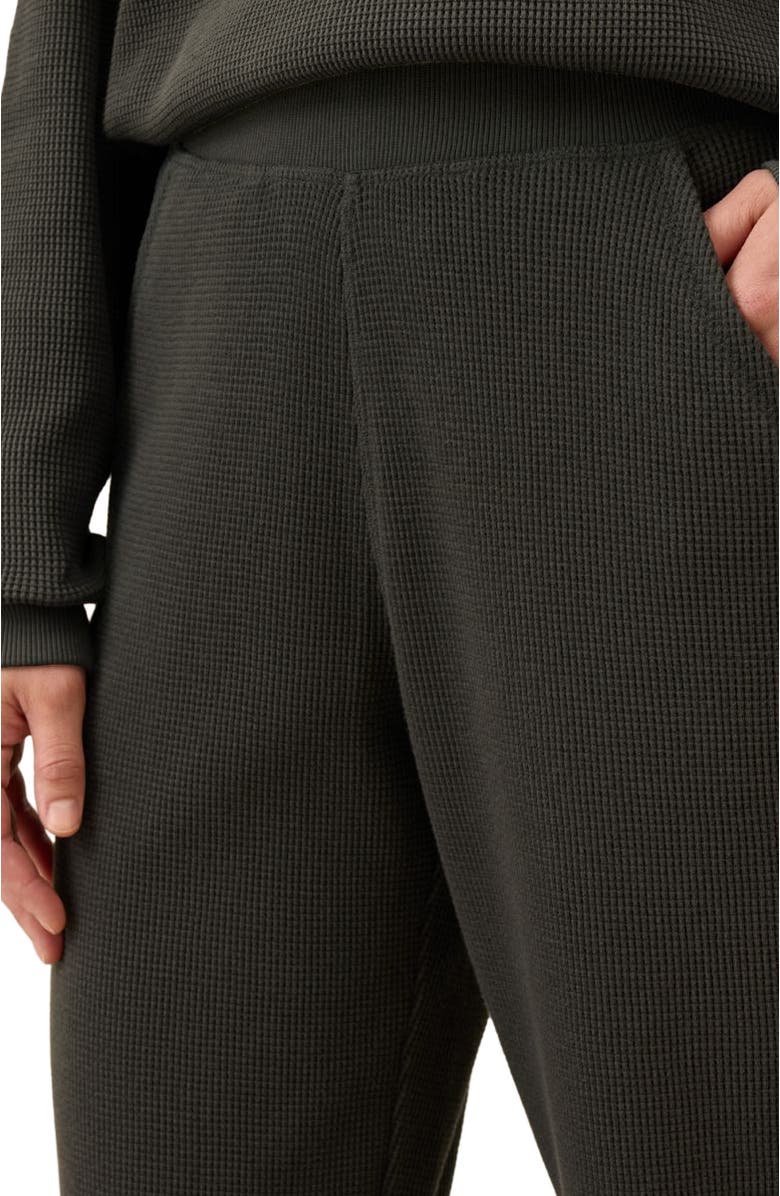 Pact Thermal Waffle Wide Leg Pant, Alternate, color, Oak
