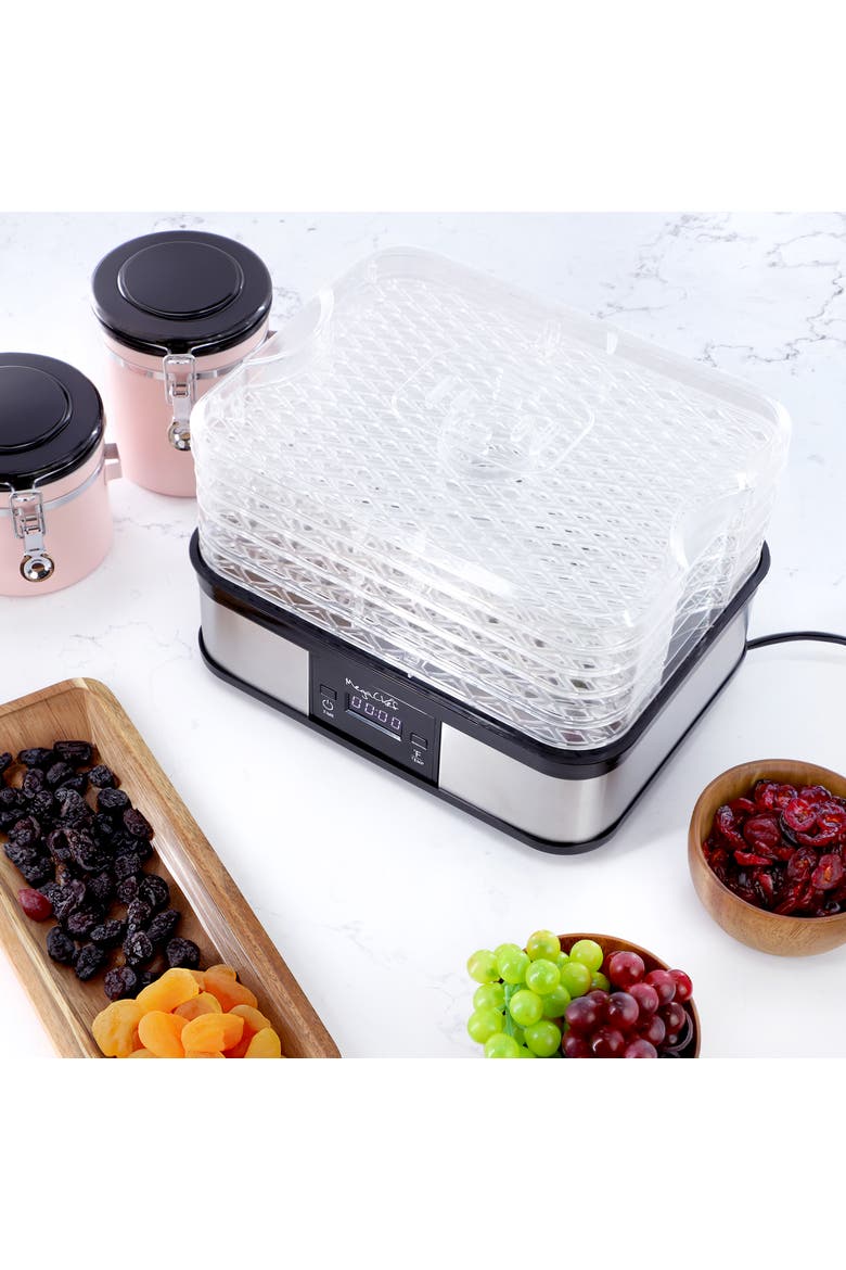 5 Tray Food Dehydrator with Timer and Temperature Control, Alternate, color, Grey