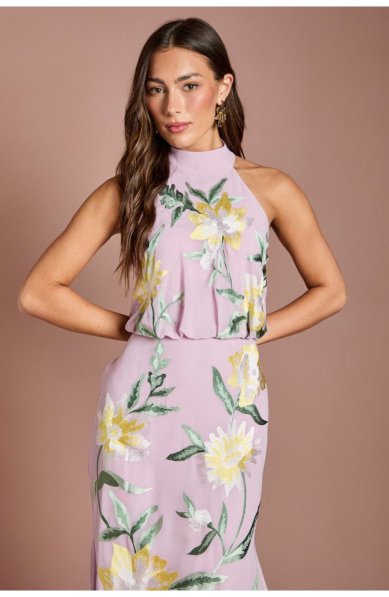 Coast Floral Embroidery Midi Dress, Alternate, color, Lilac