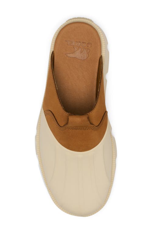 Sorel Rein Cb Clogs In Bleached Ceramic/canyon Gold