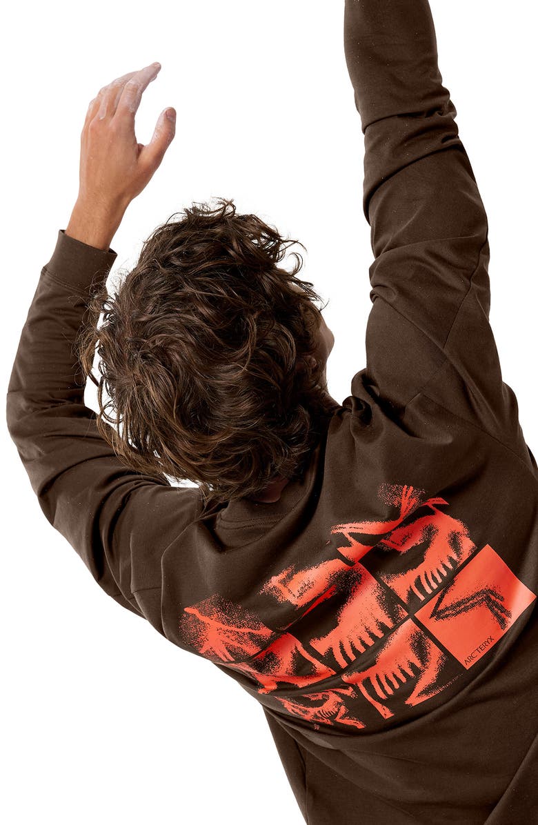 Arc'teryx Kragg Long Sleeve Cotton Graphic T-Shirt, Alternate, color, Carob / Dynasty