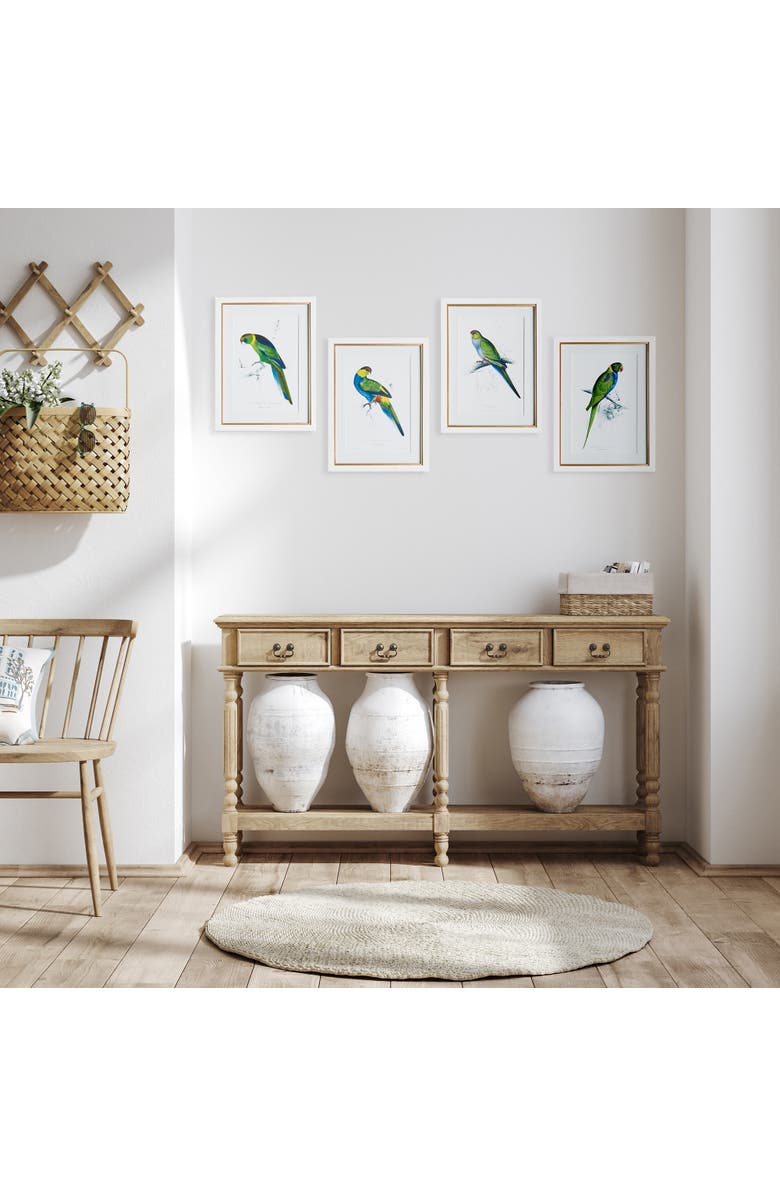 Napa Home & Garden Colorful Parrots Prints St/4, Alternate, color, Green