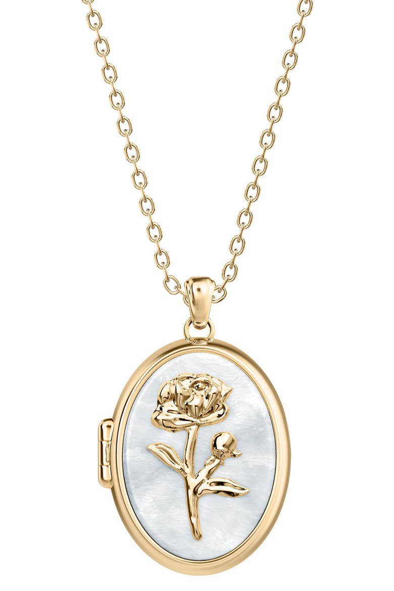 Sutton Mother of Pearl Locket Pendant Necklace, Main, color, GOLD
