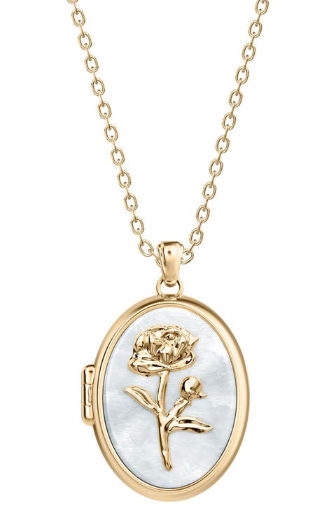 Sutton Mother of Pearl Locket Pendant Necklace
