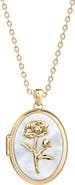 Fossil Sutton Mother of Pearl Locket Pendant Necklace