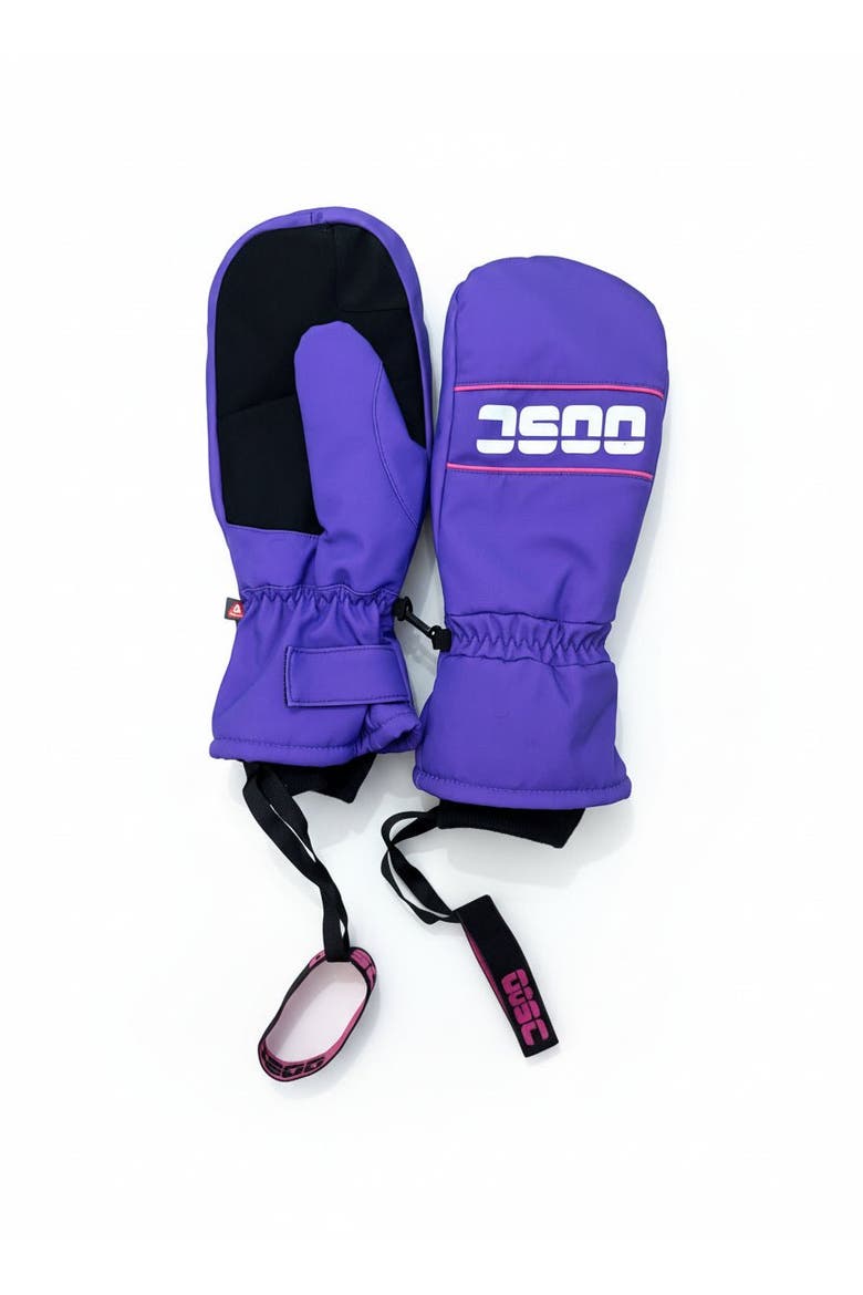 1987 PrimaLoft® V2 Ski & Snowboard Mitt - Purple, Main, color, Purple, Black