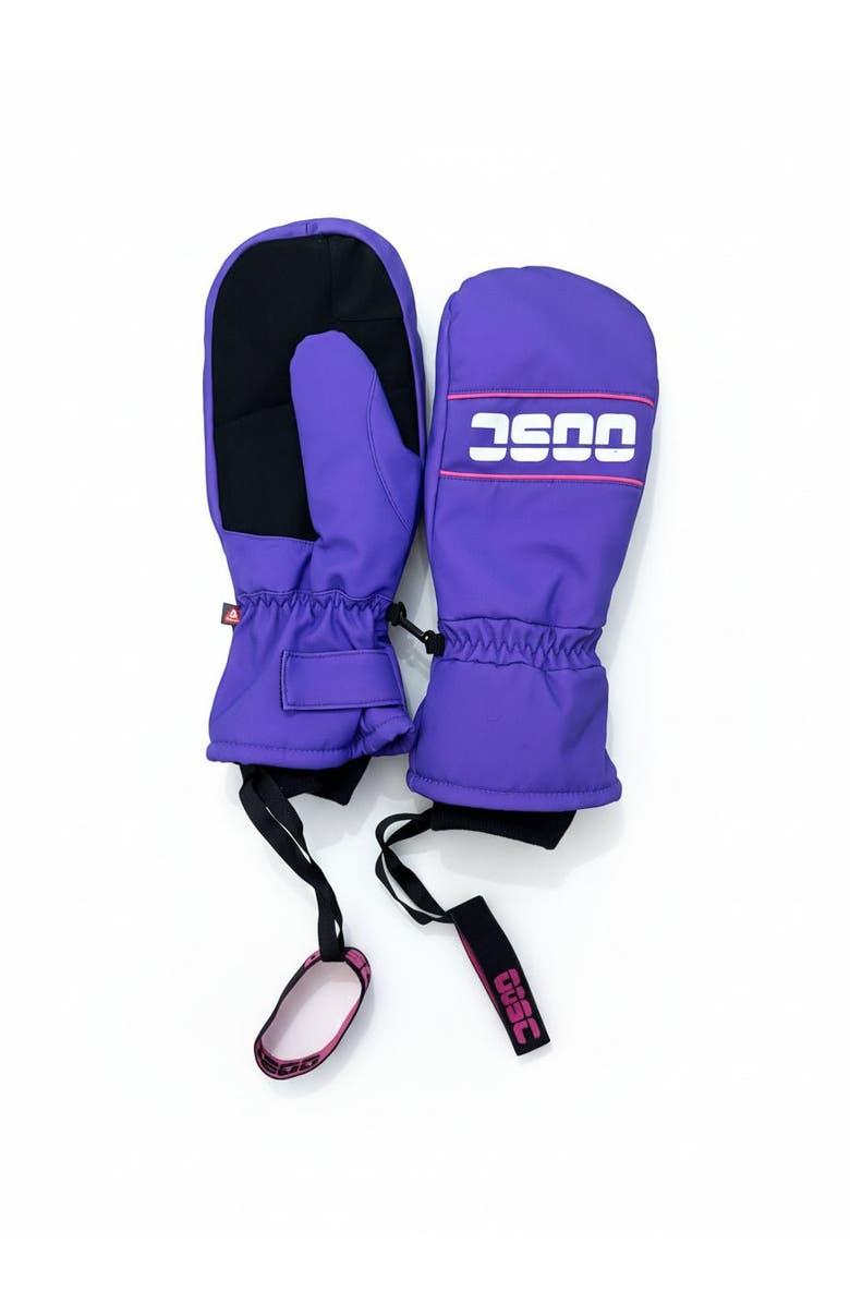 OOSC Clothing 1987 PrimaLoft<sup>®</sup> V2 Ski & Snowboard Mitt - Purple, Main, color, Purple, Black