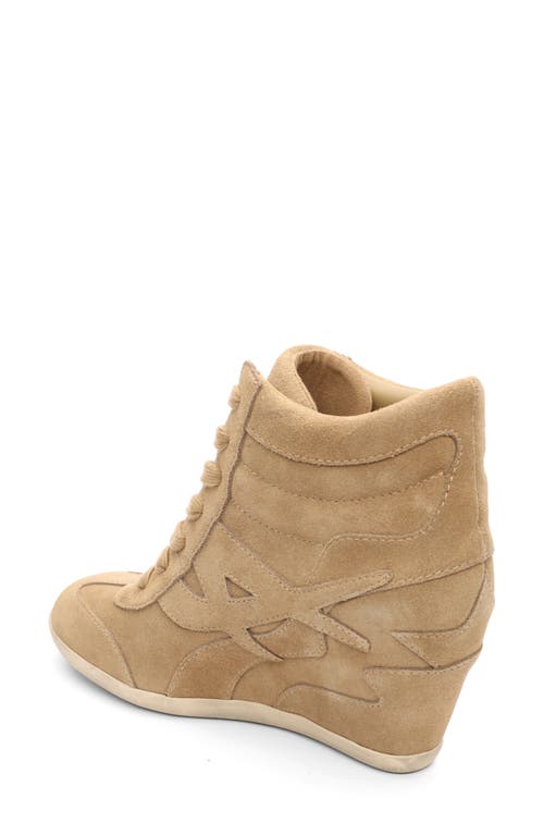 Ash Boradia Wedge Sneaker In Neutral