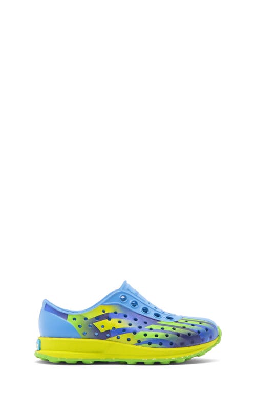 Native Shoes Robbie Floral Water Friendly Perforated Slip-on In Blue