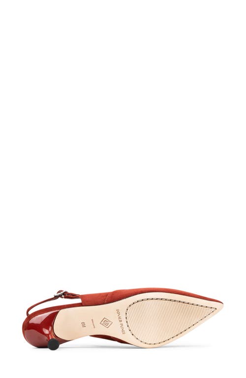 Donald Pliner Pointed Toe Slingback Pump
