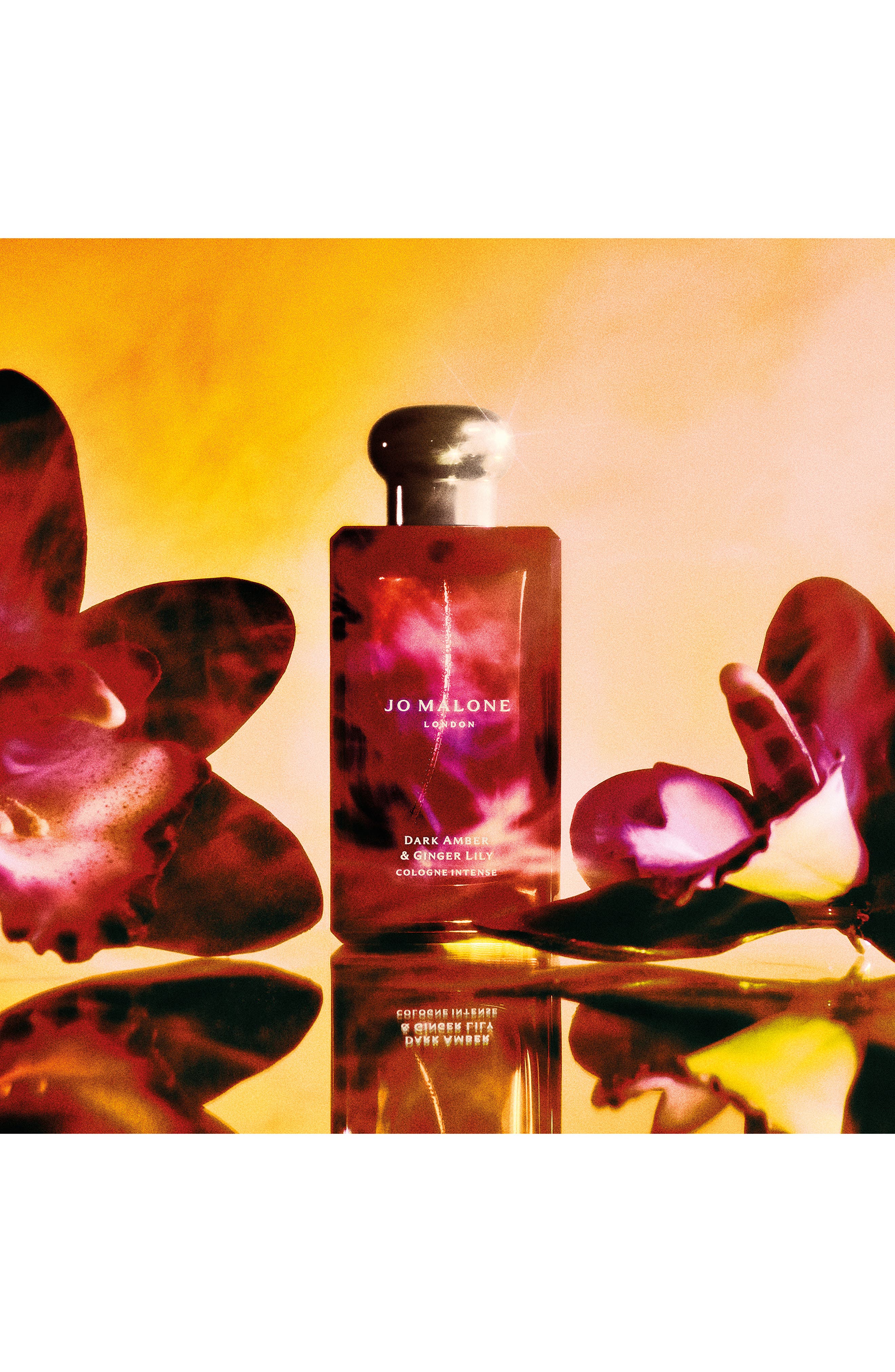 Dark Amber & Ginger Lily Cologne Intense | Nordstrom