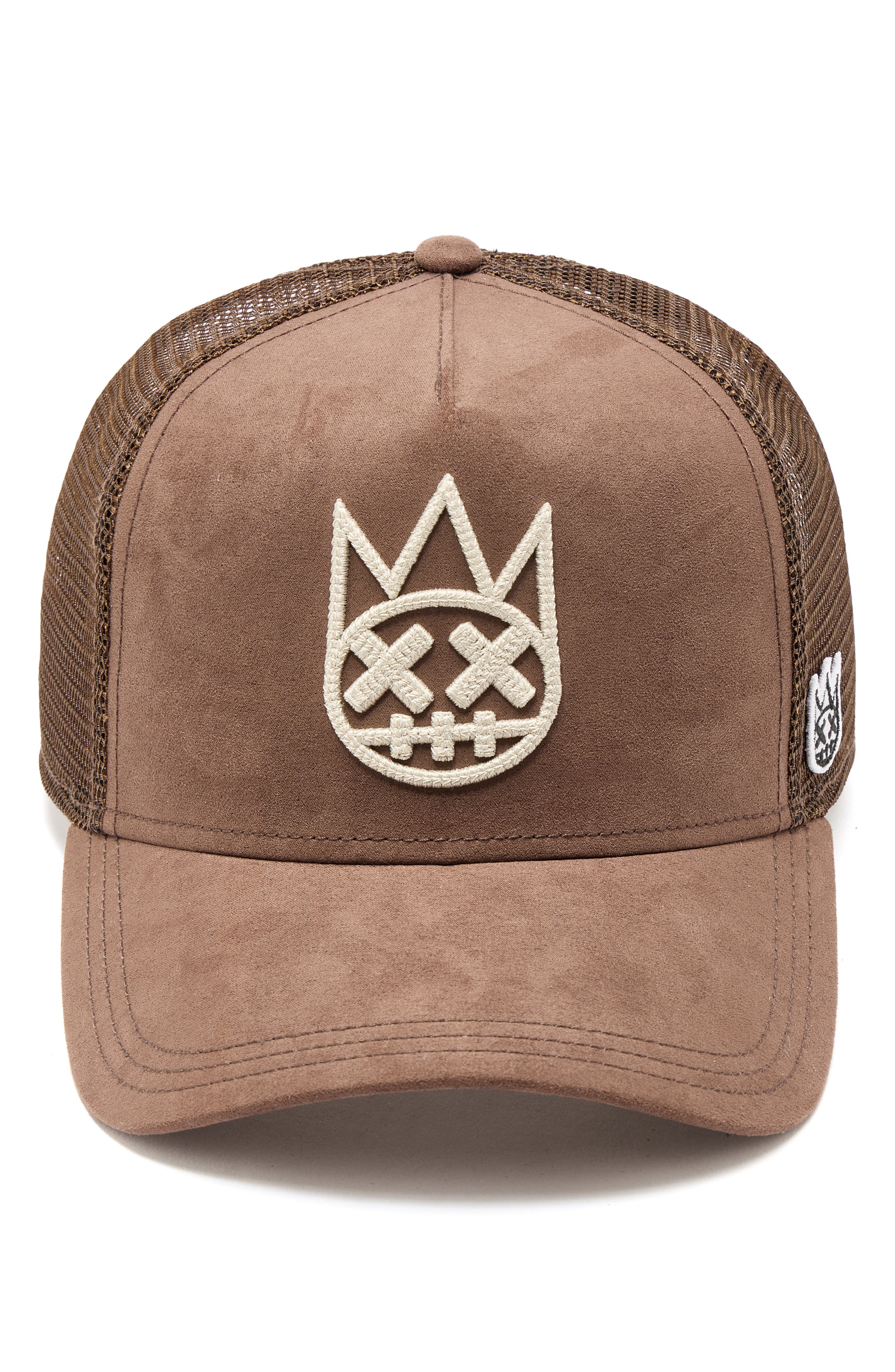 selected PINECONE