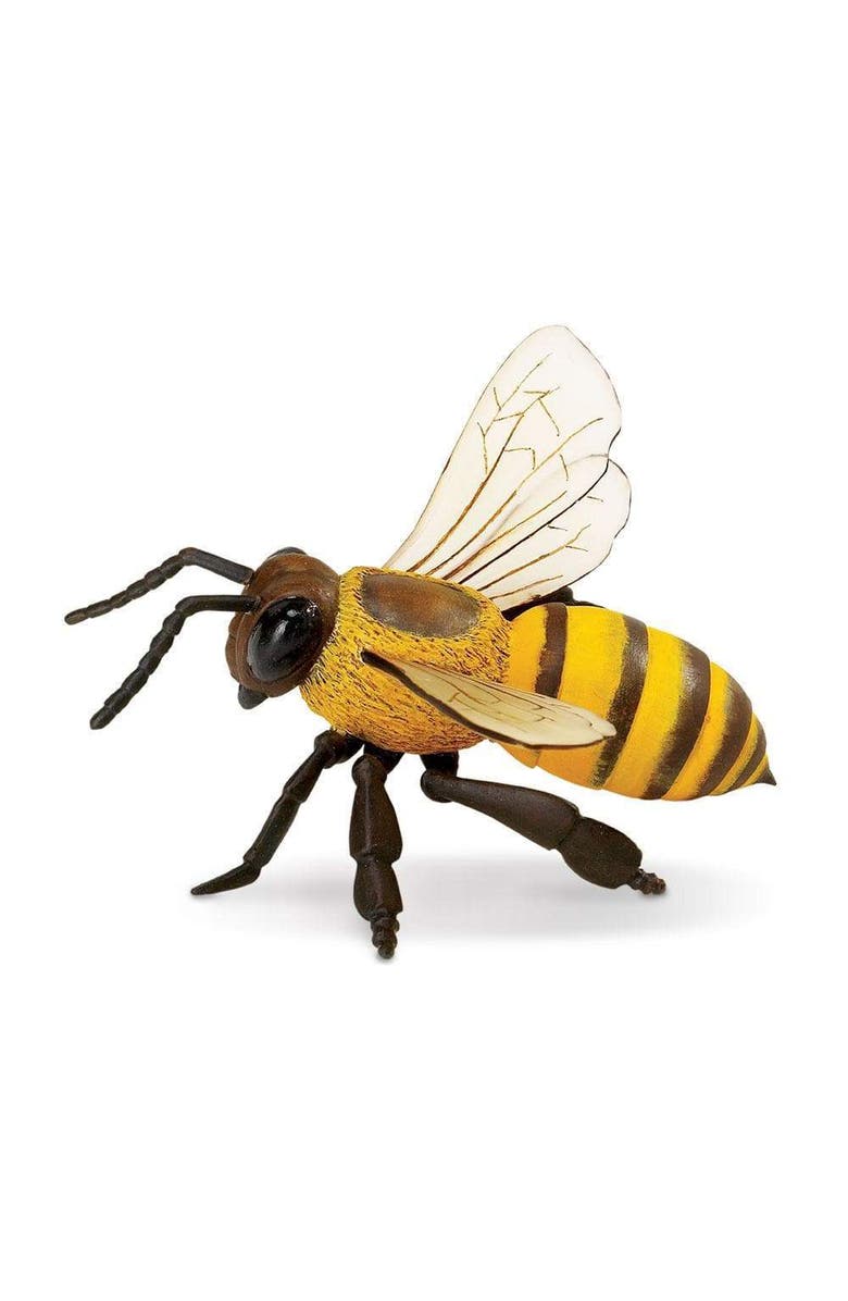 Safari Ltd. Honey Bee Toy, Alternate, color, NO COLOR