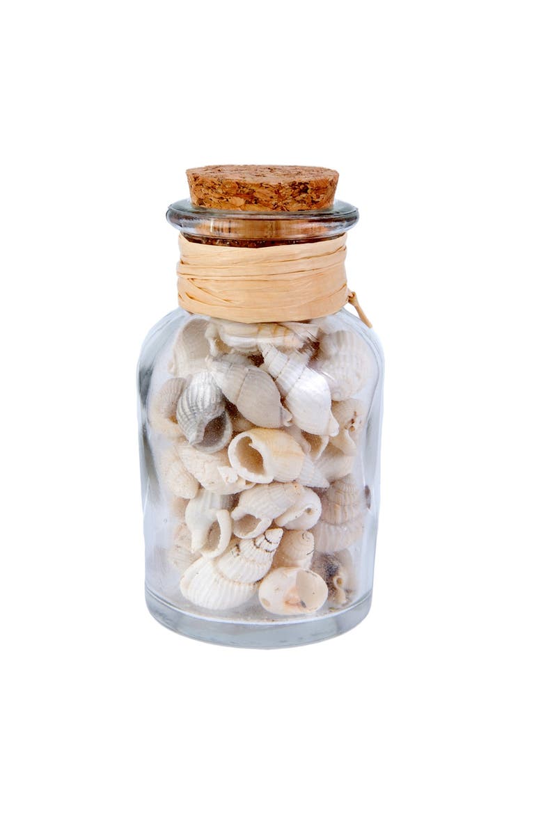 White Shells Decorative Cork Glass Bottle 3.13", Main, color, Brown