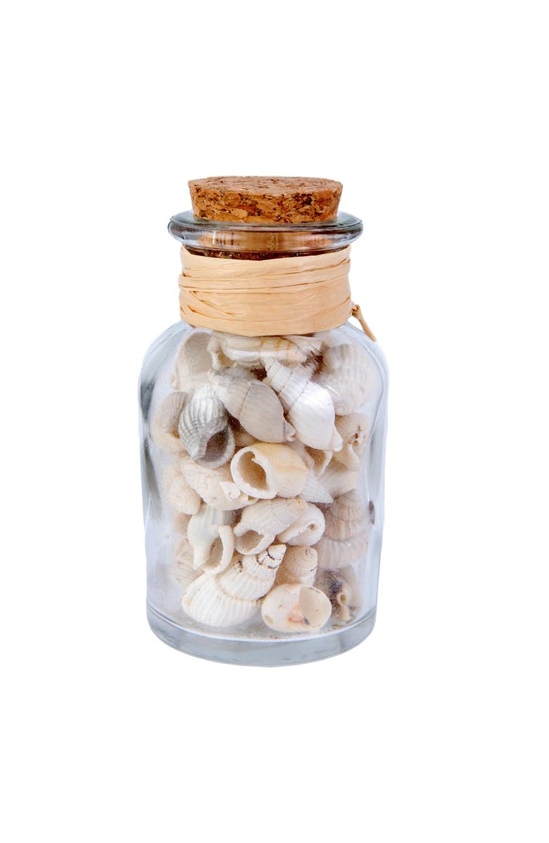 Beachcombers Bottle With White Shells, Main, color, Brown