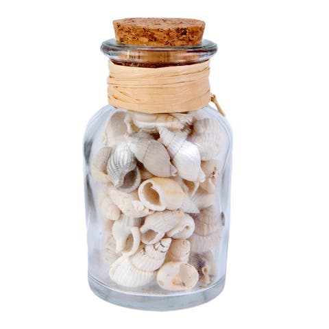 Bottle With White Shells