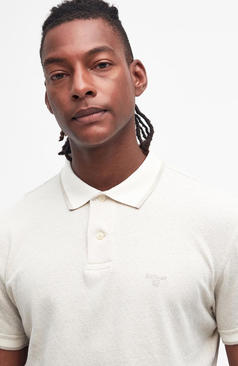 Barbour Powburn Jacquard Cotton Polo, Alternate, color, Mist