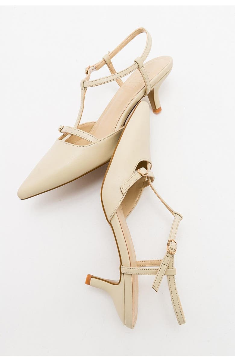 Prologue Shoes Frans Pointed Toe Pump, Alternate, color, Beige