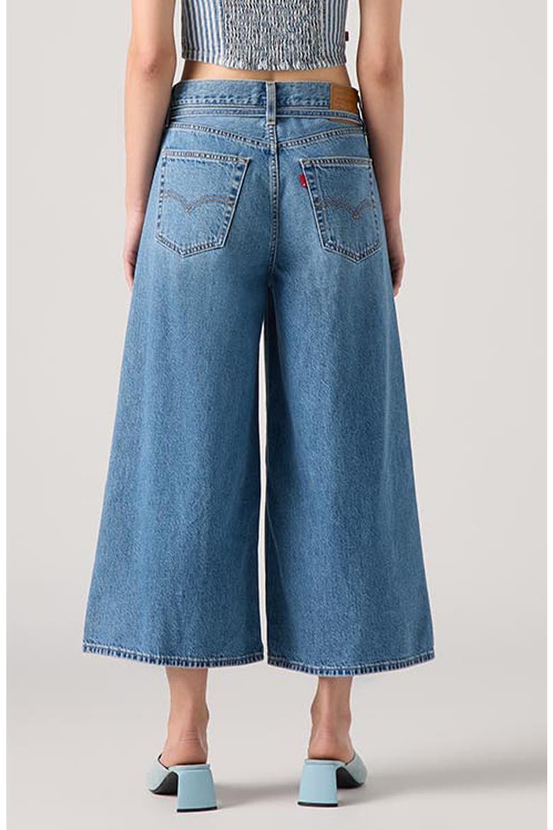 XL High Waist Wide Leg Culotte Jeans, Alternate, color, HOT AND COLD