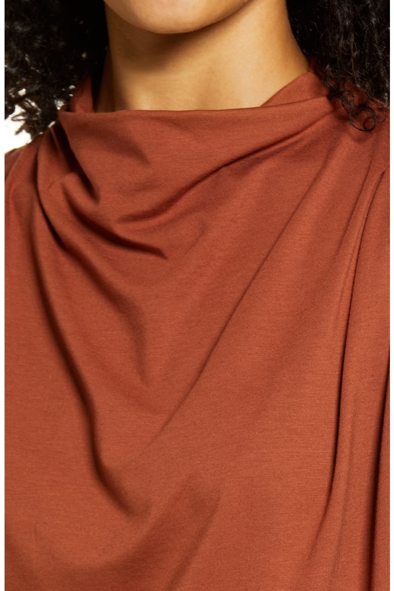 Mock Neck Sleeveless Top, Alternate, color, RUST SEQUOIA