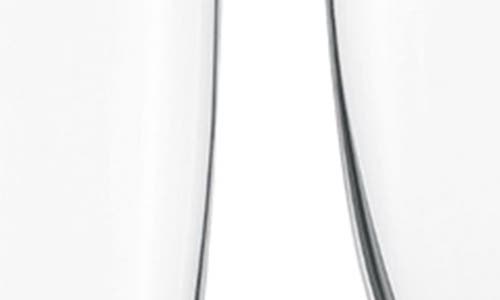 Fortessa Schott Zwiesel Classico Set Of 6 Flute Glasses In Clear