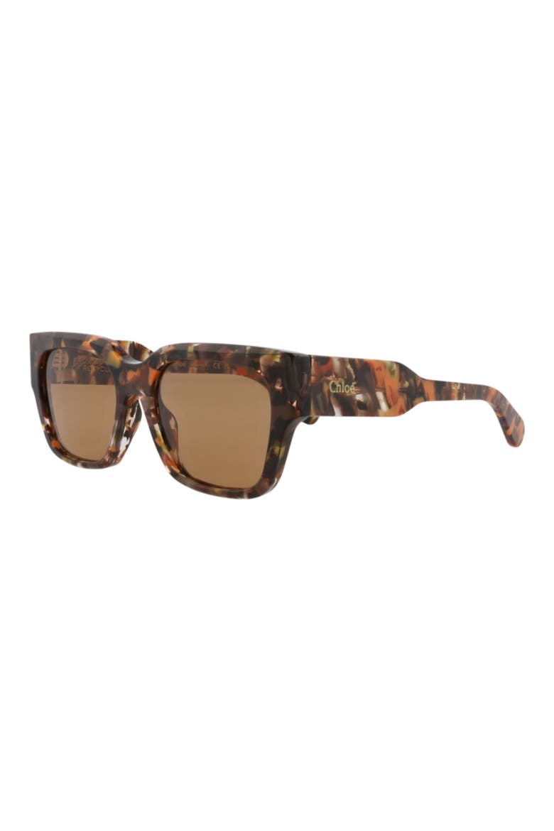 54mm Square Sunglasses, Alternate, color, HAVANA HAVANA BROWN