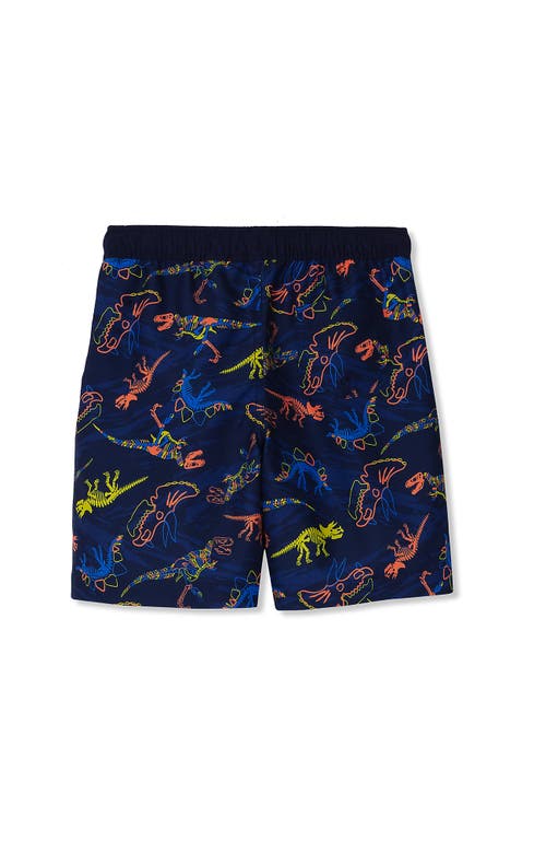 LANDS' END LANDS' END BOYS PRINT SWIM TRUNKS